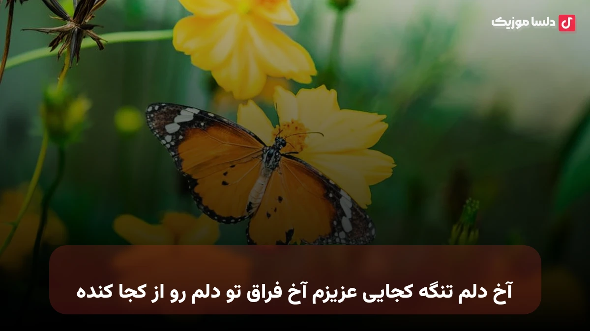 آخ دلم تنگه کجایی عزیزم آخ فراق تو دلم رو از کجا کنده